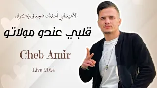 Cheb Amir 2024 Galbi Ando Molato قلبي عندو مولاتو Live Officiel الأغنية التي أحدثت ضجة في تيكتوك 