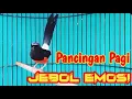 Download Lagu GACOR FULL DURASI ‼️TERAPI PANCINGAN MURAI BATU GACOR  AMPUH BUAT PANCINGAN MURAI CE;PAT BUNYI