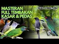 Download Lagu Masteran Joss || Masteran Full Tembahak Kasar Dan Pedes