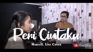 Download Peri Cintaku - Marcell (Live Cover \u0026 Video Lirik by Fani Ellen) MP3