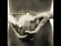Angelica - Lamb