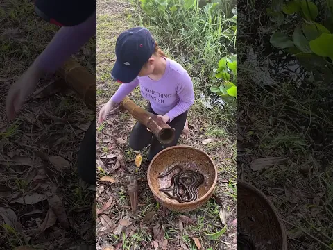 Amazing Fish Trapping Skills