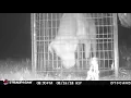 Look Who Got Caught Choco