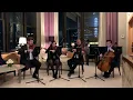 Coldplay - Viva La Vida string quartet cover - Kiral Artists