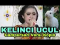 Download Lagu TANPA KENDANG • KELINCI UCUL • CAMPURSARI VERSI KOPLO