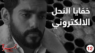 برنامج جمرة الحلقة ١٢ خفايا مشروع النحل الإلكتروني 