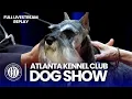 2026 Atlanta Kennel Club Dog Show Full Event Replay