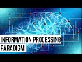Information Processing Paradigm brief overview