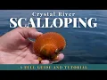 The Ultimate Guide to Crystal River Scalloping