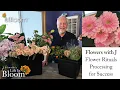 Processing Flowers Ritual - LIVE With J