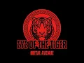 Eye of The Tiger (metal cover)