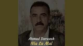 شکاتی رگام  شکاتی رگام