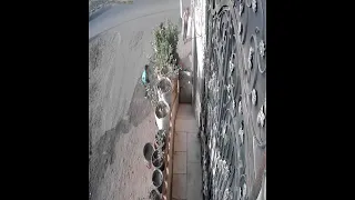 آخرة هزار الأطفال ب التوكتوك حادث مروع في الشرقية 