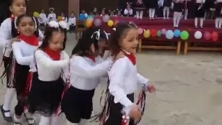 رقصة البطريق   أداء أطفال دندنها