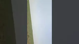 خريف البطانه ام همج 