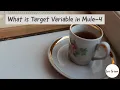 Target Variable in Mule-4 Connecor