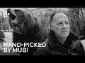 Ecstatic Truths A Werner Herzog Documentary Retrospective Hand-Picked by MUBI