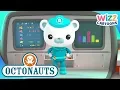 Download Lagu @Octonauts - Creature Report | Compilation | Wizz Cartoons