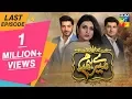 Download Lagu Mere Humdam Last Episode HUM TV Drama 9 July 2019