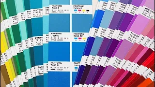 What are Pantone Colors The Guide to Color Consistency in Design