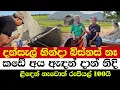 Download Lagu දන්සැල් හින්දා බිස්නස් නෑ | කඩේ අය ඇඳන් දාන් නිදි | ළිඳෙන් නෑවොත් රුපියල් 100යි