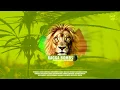 Download Lagu RAGGA BOMBS - Special Mix Vol.3 (Mixed By Bassing)