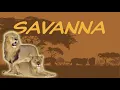 Explore the Savanna Biome Tropical Grassland Nature Ecology Environment