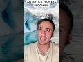 Download Lagu Antartica Flowers Blooming
