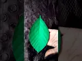 Diy Paper leaf easy cut Paper leaf