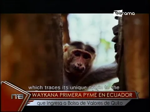 Waykana primera pyme en Ecuador que ingresa a bolsa de valores de Quito