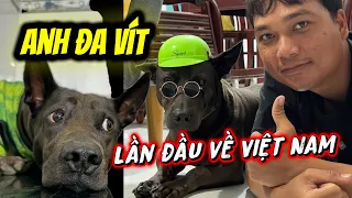 Anh Đa Vít Lần Đầu Về Việt Nam Sau Nhiều Năm Du Học Nước Ngoài 