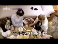 Ningning playing rock paper scissors with her foot