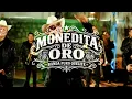 No Soy Monedita de Oro - Banda Puro Quelite (En Vivo) 2026