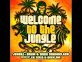 Download Lagu Ed Solo \u0026 Deekline - Bam Bam ft. Yolanda (Serial Killaz Remix)