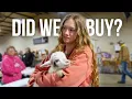 The CRAZIEST way to Buy Farm Animals Huge Animal Swap