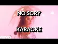 Download Lagu Sanah - No sory karaoke/instrumental - Polinstrumentalista