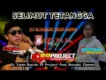 DJ SELIMUT TETANGGA | IRPAN BUSIDO 69 PROJECT FEAT BOSSAKI CHANNEL