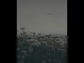 Peter Gregson - II. Warmth (Piano Version)