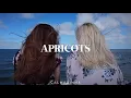 Apricots - MAY-A (español)