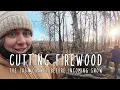 Cutting Firewood in the Woods - Final harvest before Snow