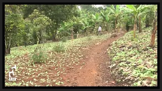 WAKULIMA KAGERA WALIA NA MASOKO KUEOUKA KUUZA MAZAO YAO KWA HASARA