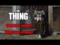John Carpenter s The Thing its Origin its Nature its Goal