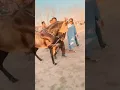 https://www.instagram.com/p/CZeJtTytwg5/?igshid=YmMyMTA2M2Y=