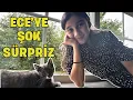Download Lagu KÜÇÜK, SEVİMLİ ve YARAMAZ YENİ AİLE ÜYESİ😱ARIGİLLER VLOG🐝AYŞEM ECE ARI