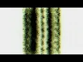 Jade Lyel - 13 th floor // Lyrics // Español