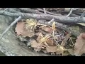 Homeless Mother and Daughter Fight to Survive in Rain and Storm!
