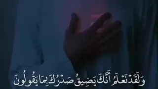 لا تضيق الدنيا ورب السماء موجود دندنها