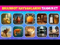 Download Lagu Brainrot’u GERÇEK HAYATTAN Fotoğrafla Tahmin Edin | Chimpanzini Bananini🍌| Bilgi Arısı