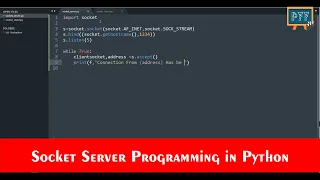 Socket Server Programming in Python Network Paradigm Advanced Programming Concepts