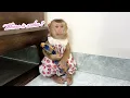 Download Lagu Tina sat alone sadly hugging the pillow of the little monkey Xuka, so touching.